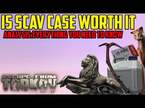 Is the Scav Case REALLY Worth it? Analysis and 15 Moonshine Run Demonstration