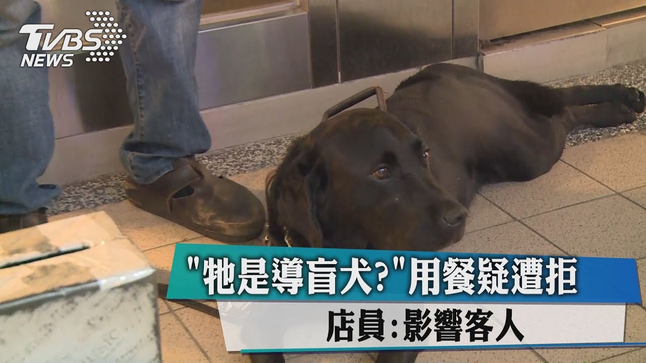 「牠是導盲犬?」用餐疑遭拒 店員:影響客人