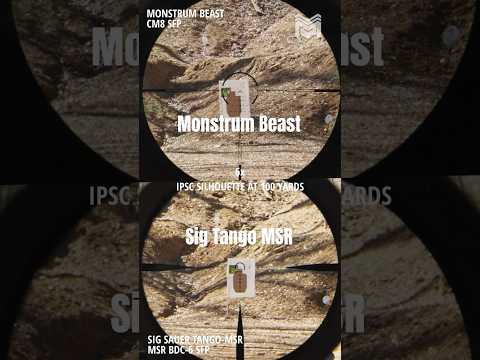 Remington 223 55gr FMJ