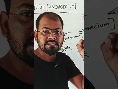 पुंकेसर #FLOWER #devaki #study360 #viral #SHORT