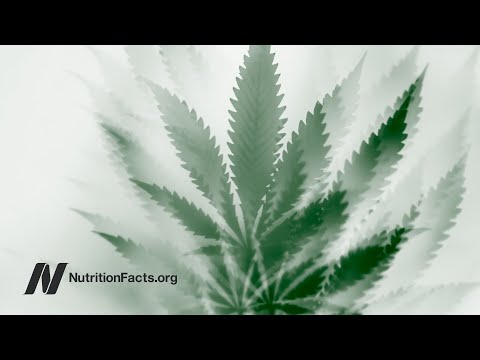 The Institute of Medicine Report on the Health Effects of Marijuana