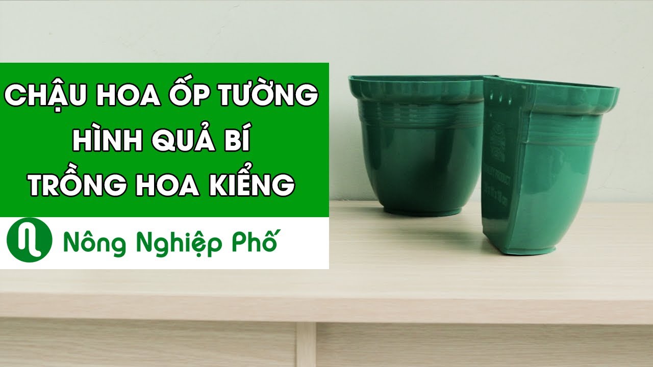 Chậu hoa ốp tường hình quả bí trồng hoa kiểng HD 20x11x18