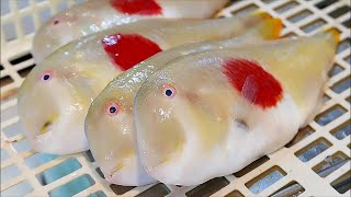 Download lagu Japanese Street Food - JAPANESE FLAG FISH Okinawa Seafood Japan mp3