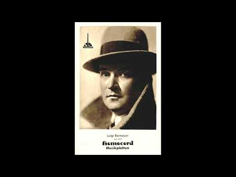 Luigi Bernauer - Die alte Zahnradbahn