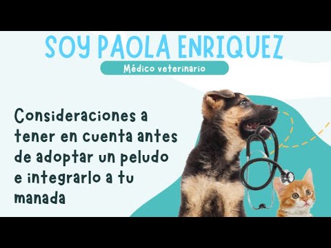 Preparación Médica para Adoptar una Nueva Mascota