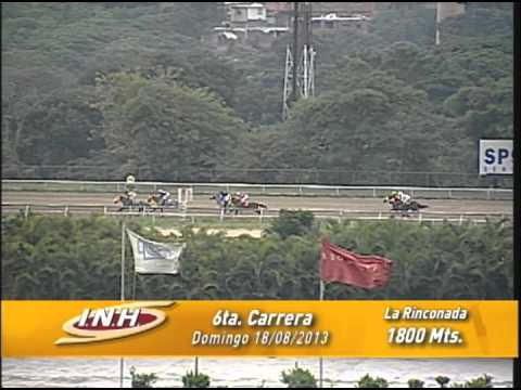 6ta carrera domingo 18 de agosto 2013