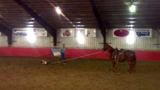 preview picture of video 'Sam Horn Tie Down Roping at Horse Palace 9.21.13'