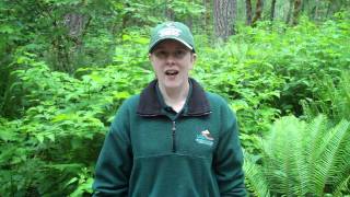 Do slugs have teeth?