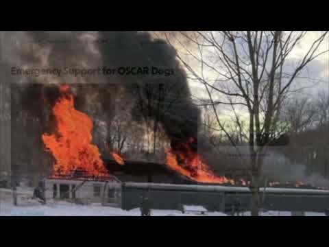 NJ Animal Shelter Fire