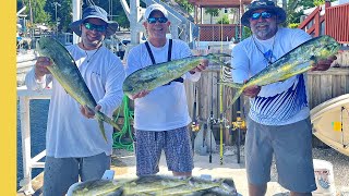 Summer Dolphin in the Florida Keys