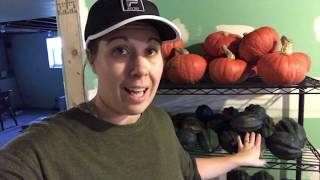 Storing Winter Squash - How To