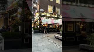 BEAUTIFUL English Pub, Central London 🇬🇧