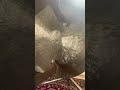 Flumie Demo - Gong Bath Training