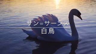 Download lagu 白鳥 シャルル・カミーユ・サン=サーンス Charles Camille Saint-Saëns the swan mp3 Download lagu 白鳥 シャルル・カミーユ・サン=サーンス Charles Camille Saint-Saëns the swan mp3