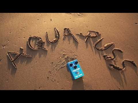 Way Huge Smalls WM71 Aqua-Puss Analog Delay MkIII Guitar Effects Pedal image 7