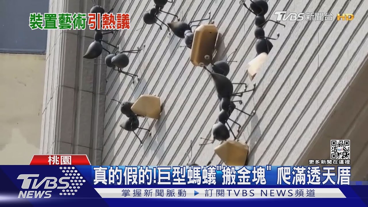 真的假的!巨型螞蟻「搬金塊」 爬滿透天厝