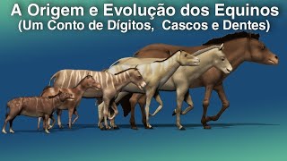 Como Ocorreu a Evolução dos Equinos? (Origem e Evolução Equidae)
