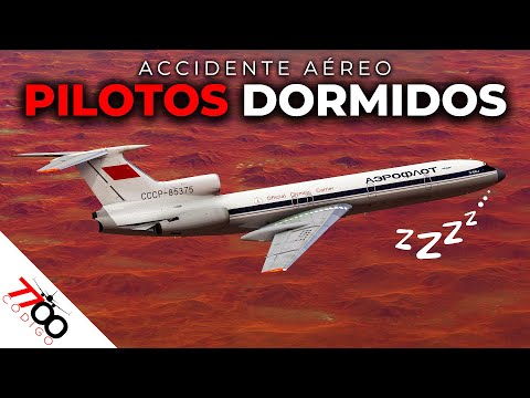 Piloto se quedó dormido - El MAYOR desastre aéreo de la historia Soviética | Vuelo 5143 de Aeroflot