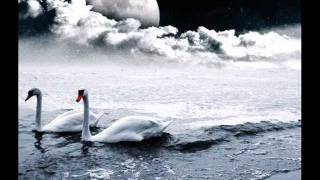 Trentemøller - Miss You (Trentemøller Radio Remix)