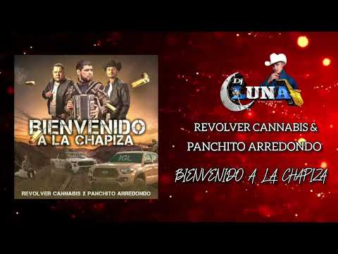 Revolver Cannabis - Bienvenido a la Chapiza & Panchito Arredondo (2023)