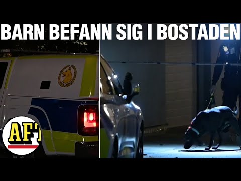 Dubbla skottlossningar i Stockholmsområdet inatt