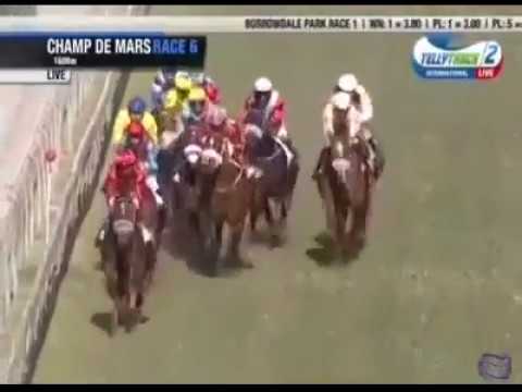 2017.07.08 Barbe Cup (MRI) - Tandragee