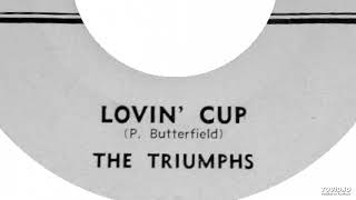 The Triumphs - Lovin&#39; Cup  (The Paul Butterfield Blues Band Cover)