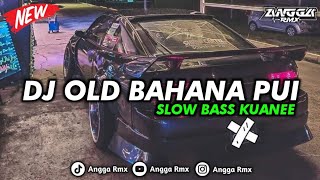 Download lagu DJ OLD BAHANA PUI SLOW BASS KUANEE || COCOK BUAT NYANTAI 🎧🤙🏻 mp3