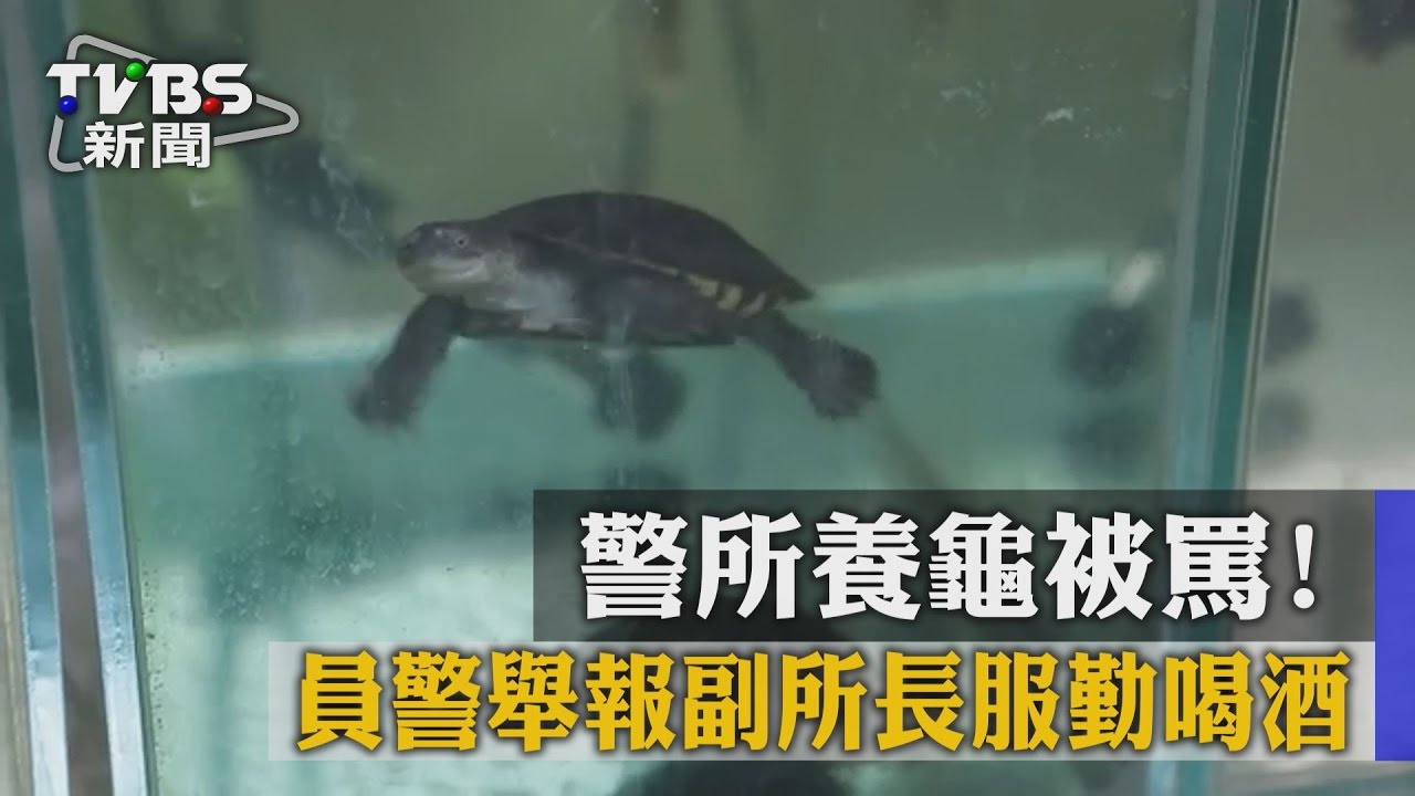 警所養龜被罵！　員警舉報副所長服勤喝酒