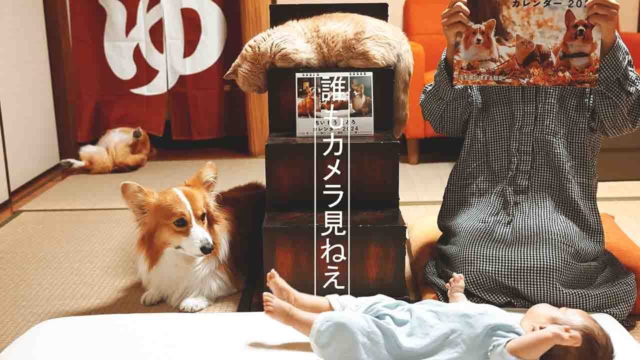 おひさしぶりです！