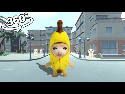 VR 360 Banana Cat running away from Puppies