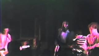 Roadrunner - The Feelies (with Peter Buck)