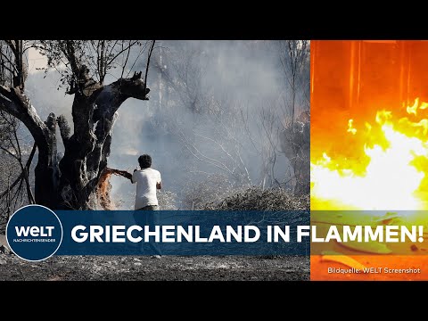 GRIECHENLAND: Waldbrände wüten! - Athen kämpft verzweifelt gegen das Flammenchaos