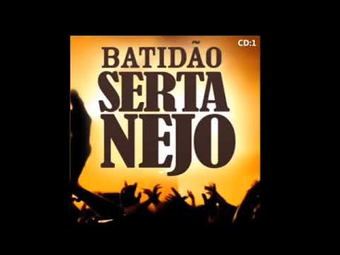Cd sertanejão vol 1