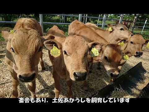 【フィールド科学コース】現場紹介（農場・演習林）