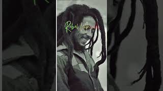 Bob Marley&#39;s Mysterious Last Concert in Pittsburgh. #bobmarley #shorts #rastafari #reggae