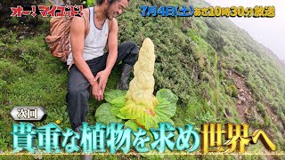 7月4日(土)放送の「オー！マイゴッド！」は世界中の植物SP！