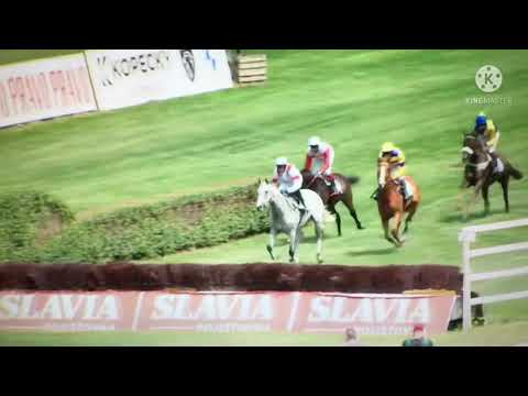 131.Velká pardubická… Lady Win ( Wtt story)