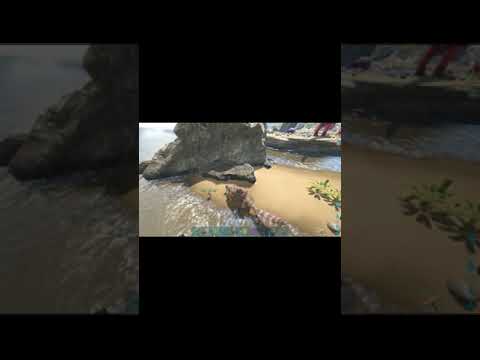 Maewing VS Giganotosaurus Ark Survival Evolved