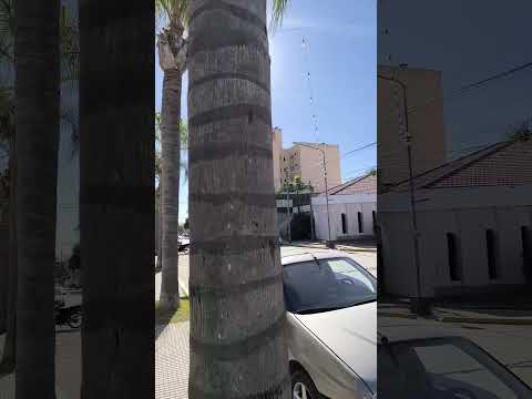 ONCATIVO, CÓRDOBA, REPÚBLICA ARGENTINA. #flete #ciudad #lugares