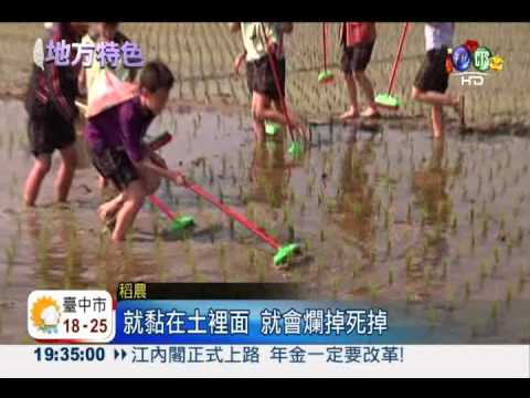 看漫畫長智慧! 刷田除草免用農藥