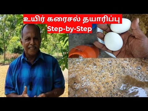 உயிர் கரைசல் தயாரிப்பு எளிமையான முறையில்|Step-by-step Guide in Tamil 