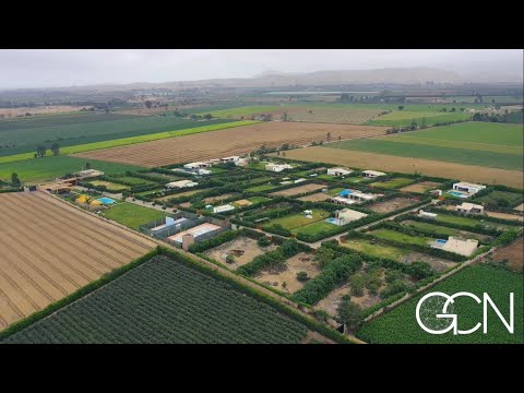 Terreno 1,000 m2 - dentro de condominio - ciudad imperial de Cañete 🔥