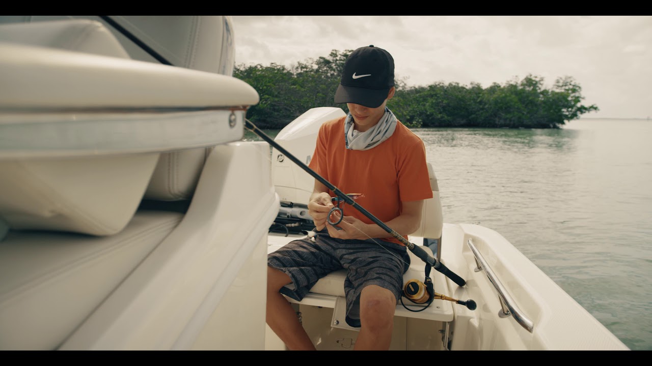 Boston Whaler | 250 Dauntless