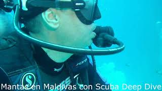 buceando con Mantas 2 | MALDIVAS CUATRO ATOLONES -  Malé Maldivas foto 7
