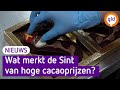 HISTORISCH HOGE CACAOPRIJS, wat betekent dit voor SINTERKLAAS? ??