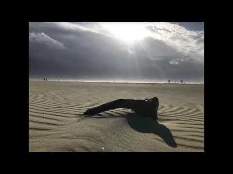 "Mir kannst du die Freiheit nicht so leicht wegnehmen" - Wie die Kunst Verena durch die Krise trägt