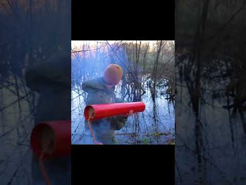 Throwing the biggest FireCracker Explosion in the swamp.