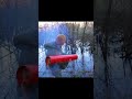 Throwing The Biggest FireCracker Explosion In The Swamp