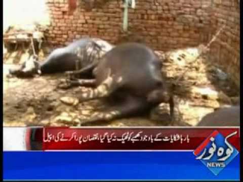 Kohenoor Regional News 2016-07-29 At 04:00 PM